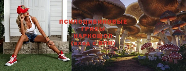 мет Аркадак