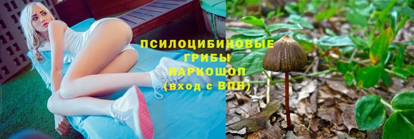 мет Аркадак